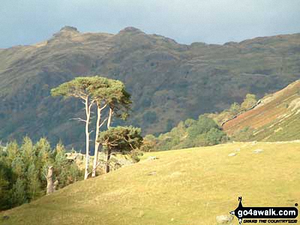 The Angle Tarn Pikes from Middle Dodd