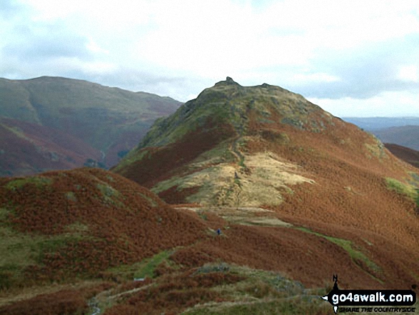 Helm Crag from Gibson Knott