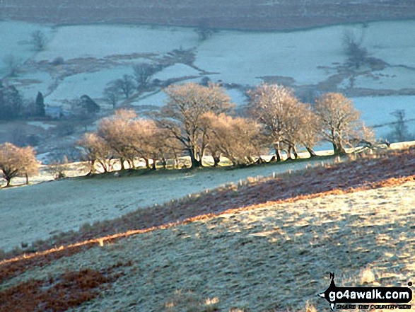 Walk c368 Nine Standards Rigg from Kirkby Stephen - Early morning above Rigg Beck