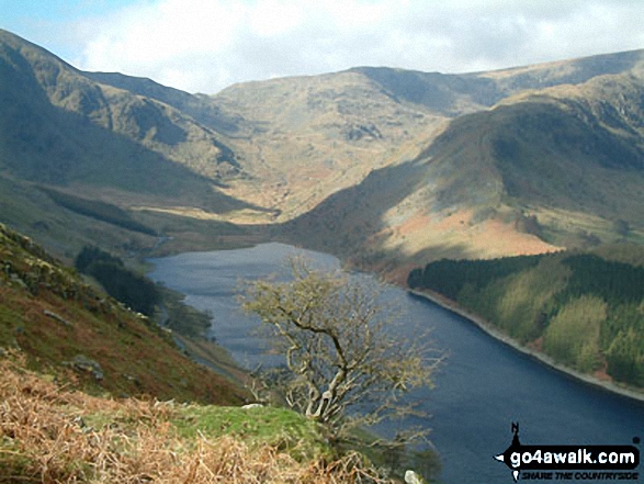 Mardale Head from Selside Pike 