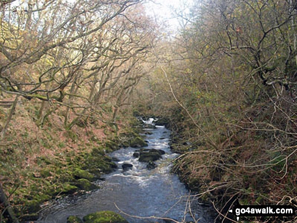 Walk ny100 The Ingleton Waterfalls from Ingleton - The River Doe above Beezley Falls, The Ingleton Waterfalls