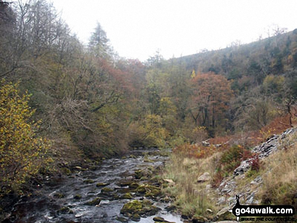 Walk ny100 The Ingleton Waterfalls from Ingleton - The River Twiss in Swilla Glen, below Thornton Force, The Ingleton Waterfalls