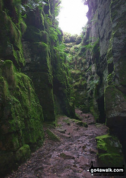 In Lud's Church, The Roaches