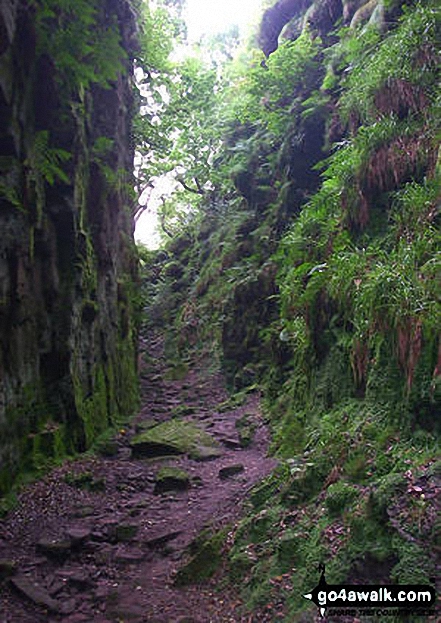 Walk s131 Lud's Church and The Roaches from Gradbach - Lud's Church, The Roaches