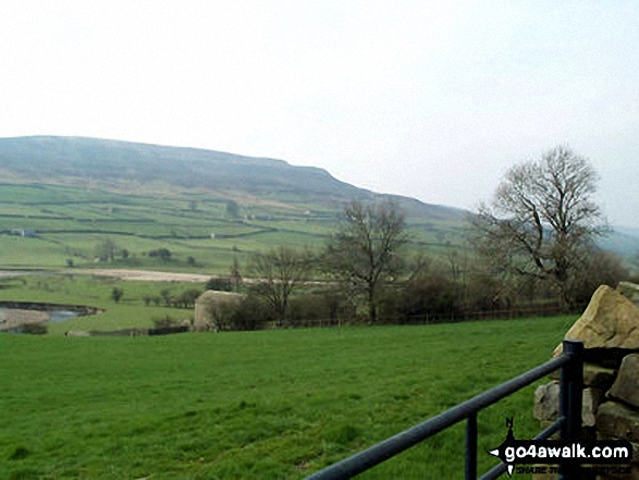 Walk ny157 High Harker Hill and Greets Hill from Reeth - High Harker Hill from nr Reeth