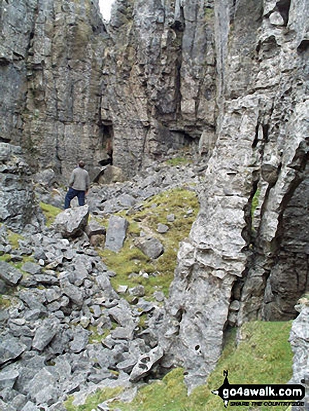 Walk ny130 Ingleborough and Raven Scar from The Old Hill Inn, Ribblehead - Jingle Pot Gill, Chapel-le-Dale