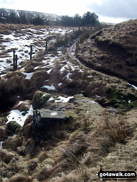 Ramsden Road between Rough Hill (Shore Moor) and Freeholds Top 