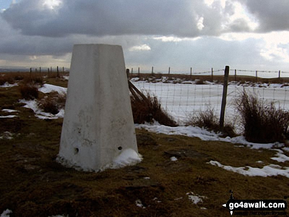 Freeholds Top summit trig point 