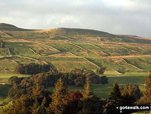 Walk ny149 Great Shunner Fell from Hawes - Early evening in Wenslydale seen from the campsite at Bainbridge Ings near Hawes