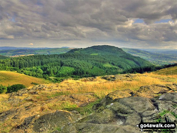 Moel y Golfa seen from the neighbouring summit of Rodney's Pillar (Breidden Hill) 