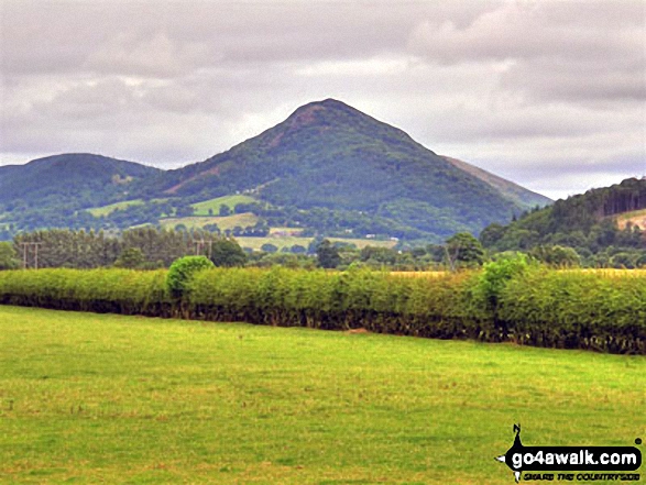 Walk po148 Chwarel y Fan, Twmpa and Rhos Dirion from Capel-y-ffin - Rodney's Pillar (Breidden Hill) (left) and Moel y Golfa (centre) and from the A458 road near the  railway bridge at Cefn