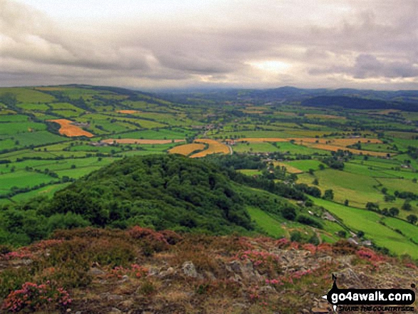 Looking South West down the steep ridge from Moel y Golfa into the Severn Valley towards Welshpool with the A458 road also visible 