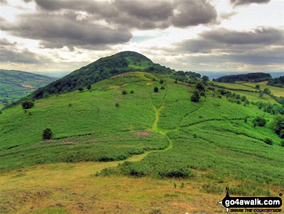 Walk Moel y Golfa walking UK Mountains in The Cambrian Mountains  Powys, Wales