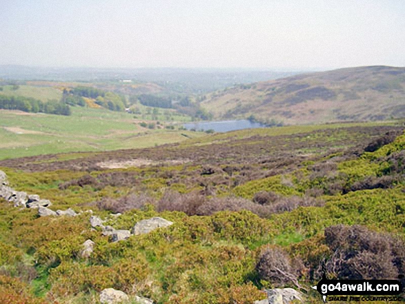 Walk dn112 Moel Famau and Moel Dywyll from Moel Famau Country Park - Garth the summit of Moel Llys-y-coed<br> on The Offa's Dyke Path