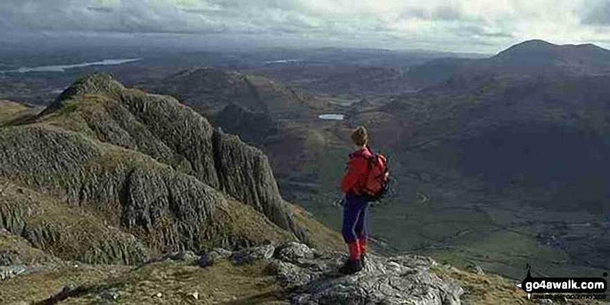 Walk c208 Harrison Stickle and High Raise from The New Dungeon Ghyll, Great Langdale - Me on the summit of Pike of Stickle, The Langdale Pikes with Windermere (far left), Loft Crag (near left), Lingmoor Fell (across Great Langdale), Blea Tarn (centre) and Pike of Blisco (right)