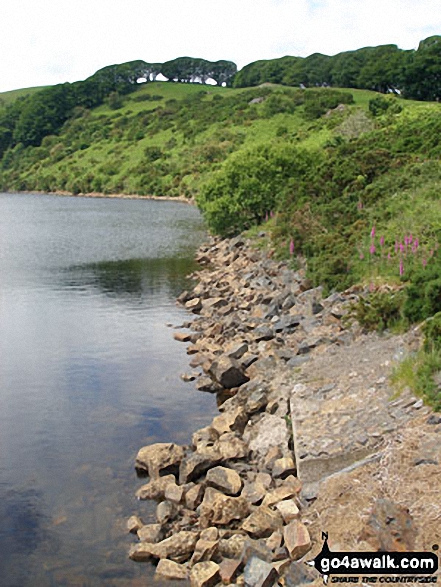 Walk de123 Sourton Tors and Meldon Reservoir from Sourton - Meldon Reservoir