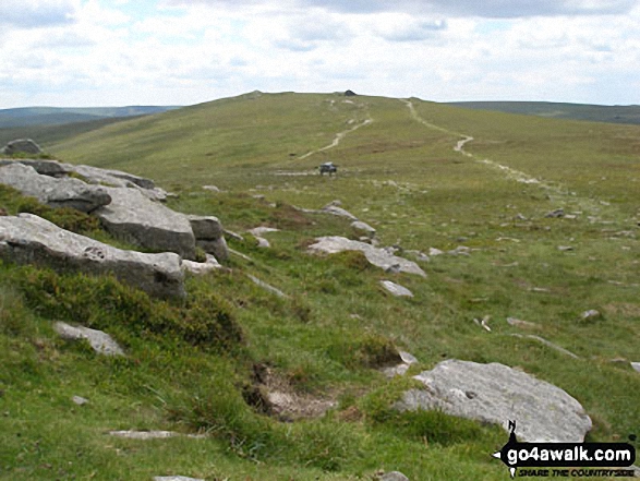 Walk de139 Yes Tor, High Willhays and Black Tor from Meldon Reservoir - High Willhays from Yes Tor