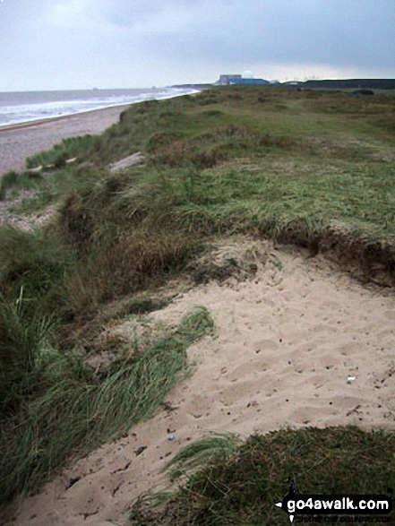 Suffolk Coast at Minsmere Nature Reserve<br>(with Sizewell in the distance) 