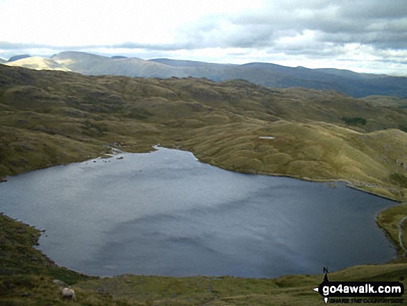 Walk c418 The Langdale Pikes via North Rake and Rossett Pike from Great Langdale - Stickle Tarn from Harrison Stickle in The Langdale Pikes