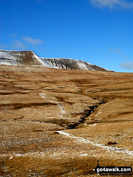 Walk po146 Cribyn and Fan y Big from Pont y Caniedydd - Fan y Big, Cribyn and Pen y Fan from Cefn Cyff