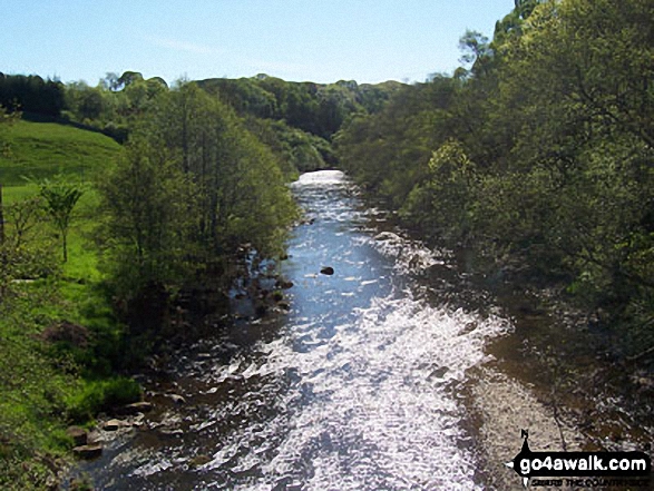 Walk n109 Windy Gyle from Rowhope Bridge - The River Coquet