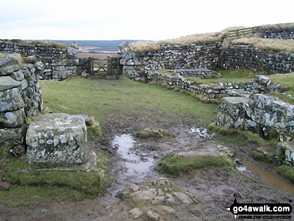 Walk n100 Hadrian's Wall and Vindolanda from Housesteads - Vercovicium Fort, Housesteads - Walking The Hadrian's Wall Path National Trail - Day 4