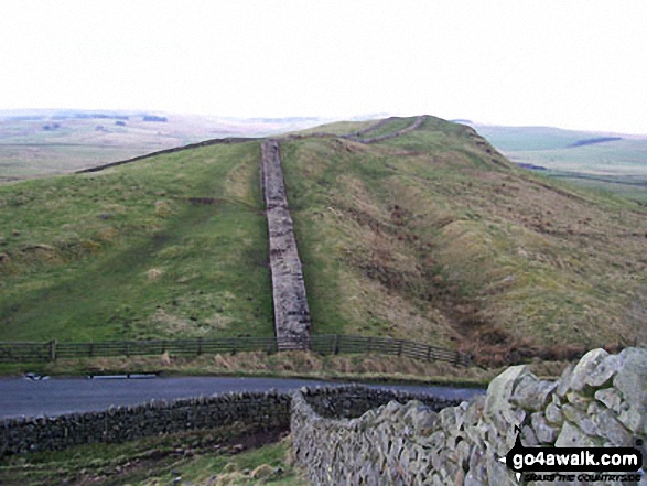 Walk n100 Hadrian's Wall and Vindolanda from Housesteads - Once Brewed - Walking The Hadrian's Wall Path National Trail - Day 5