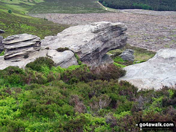 Walk n130 Simonside from Rothbury - Near summit of Simonside