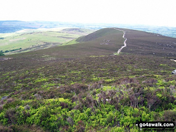 The path along the Simonside ridge to Simonside Crag 