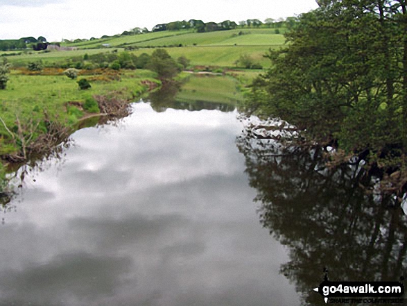 Walk n109 Windy Gyle from Rowhope Bridge - The River Coquet