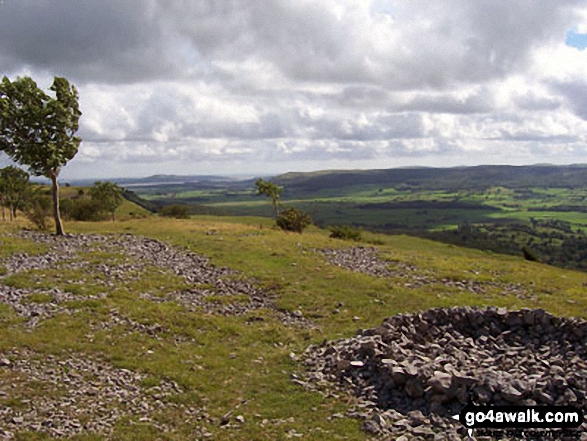 Walk c495 Cunswick Scar and Scout Scar from Underbarrow - Looking south from the summit of Scout Scar (Barrowfield)