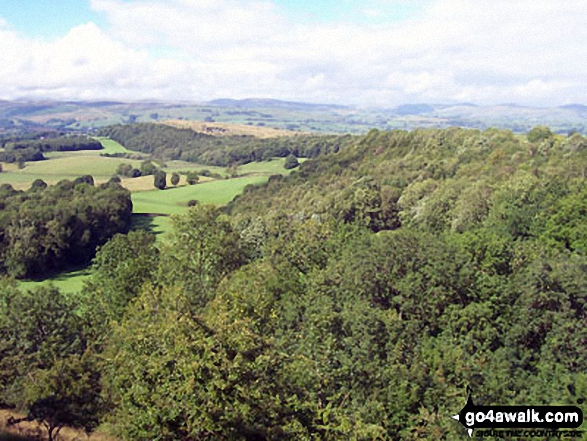 Walk c495 Cunswick Scar and Scout Scar from Underbarrow - Looking west from the summit of Scout Scar (Barrowfield)