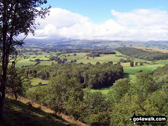 Looking west from Scout Scar (Barrowfield)