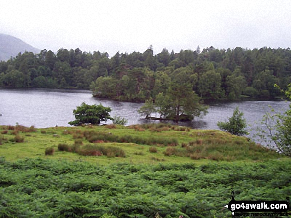 Walk c121 Tarn Hows and Yew Tree Tarn from Tom Gill - Tarn Hows