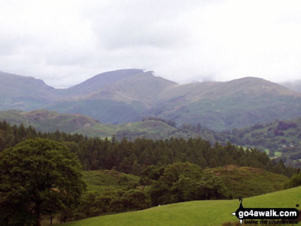 Walk c353 Holme Fell, Black Fell (Black Crag) and Tarn Hows from Tom Gill - The view west to The Coniston Fells and Wetherlam from near Low Arnside Farm