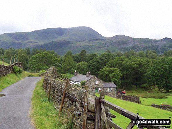 Wetherlam from High Oxen Fell 