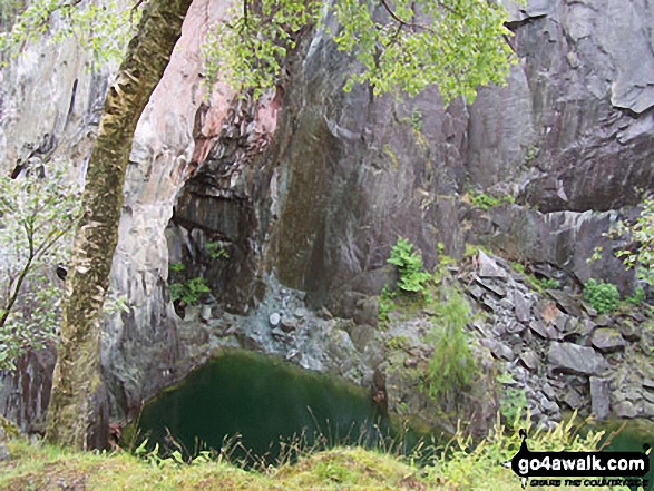 Slate quarry near Hodge Close 