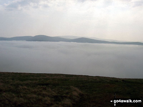 The Schill and The Cheviot above the clouds during a temperature inversion from The St Cuthbert's Way on Wideopen Hill 