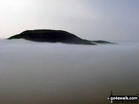 Grubbit Law poking up through the clouds during a temperature inversion from The St Cuthbert's Way on Wideopen Hill 