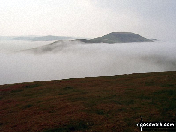 Crookedshaws Hill poking up through the clouds during a temperature inversion from The St Cuthbert's Way on Wideopen Hill 