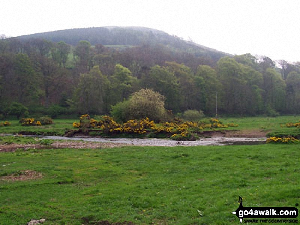 Staerough Hill from The St Cuthbert's Way near Kirk Yetholm 