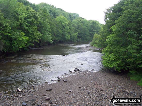 Walk du145 Chapelfell Top from St John's Chapel - The River Wear south of Wolsingham