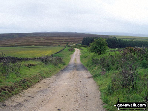 Walk du104 Elephant Trees from Wolsingham - On The Weardale Way looking towards Elephant Trees