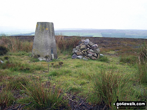 Walk du161 Wolsingham North Moor from Wolsingham - Wolsingham North Moor summit trig point