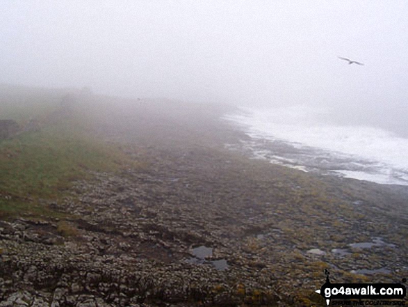 Walk n116 Dunstanburgh Castle from Craster - The North Sea north of Craster