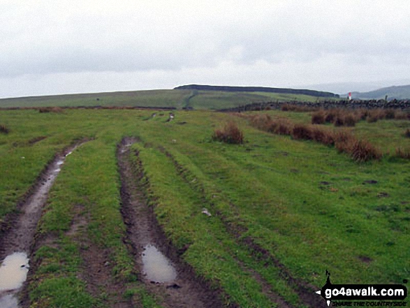 Walk du161 Wolsingham North Moor from Wolsingham - Track across Wolsingham North Moor