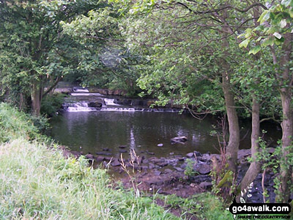 Walk du161 Wolsingham North Moor from Wolsingham - Waskerley Beck at Wolsingham