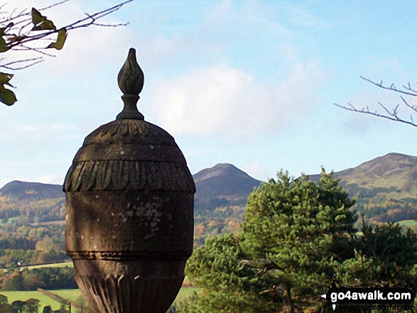 Looking back to Eildon Wester Hill, Eildon Mid Hill and Eildon Hill North from an stone urn near Wallace's Statue, Dryburgh Walking St Cuthbert's Way - Day 1