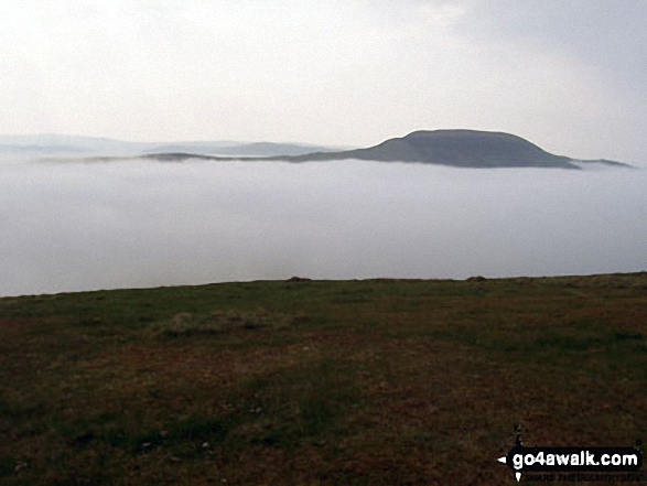 Hownam Law during a Temperature Inversion from The St Cuthbert's Way on Wideopen Hill Walking St Cuthbert's Way - Day 4