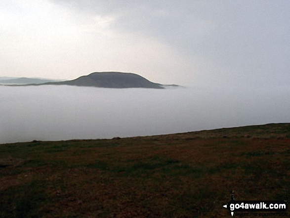 Hownam Law poking through the clouds during a Temperature Inversion from The St Cuthbert's Way on Wideopen Hill Walking St Cuthbert's Way - Day 4